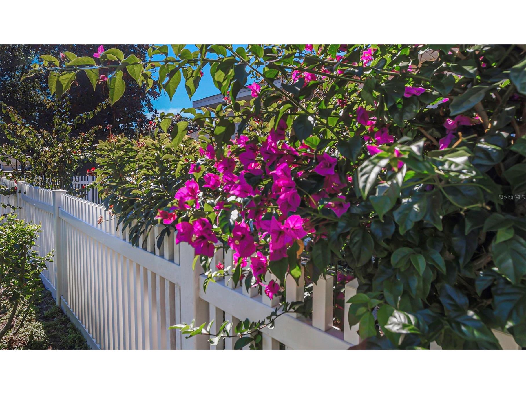 1518 Fishing Lake Drive Odessa FL 33556 TB8464108 image60