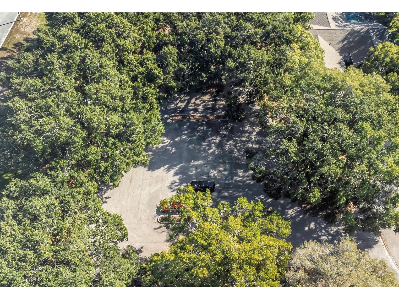 1518 Fishing Lake Drive Odessa FL 33556 TB8464108 image88