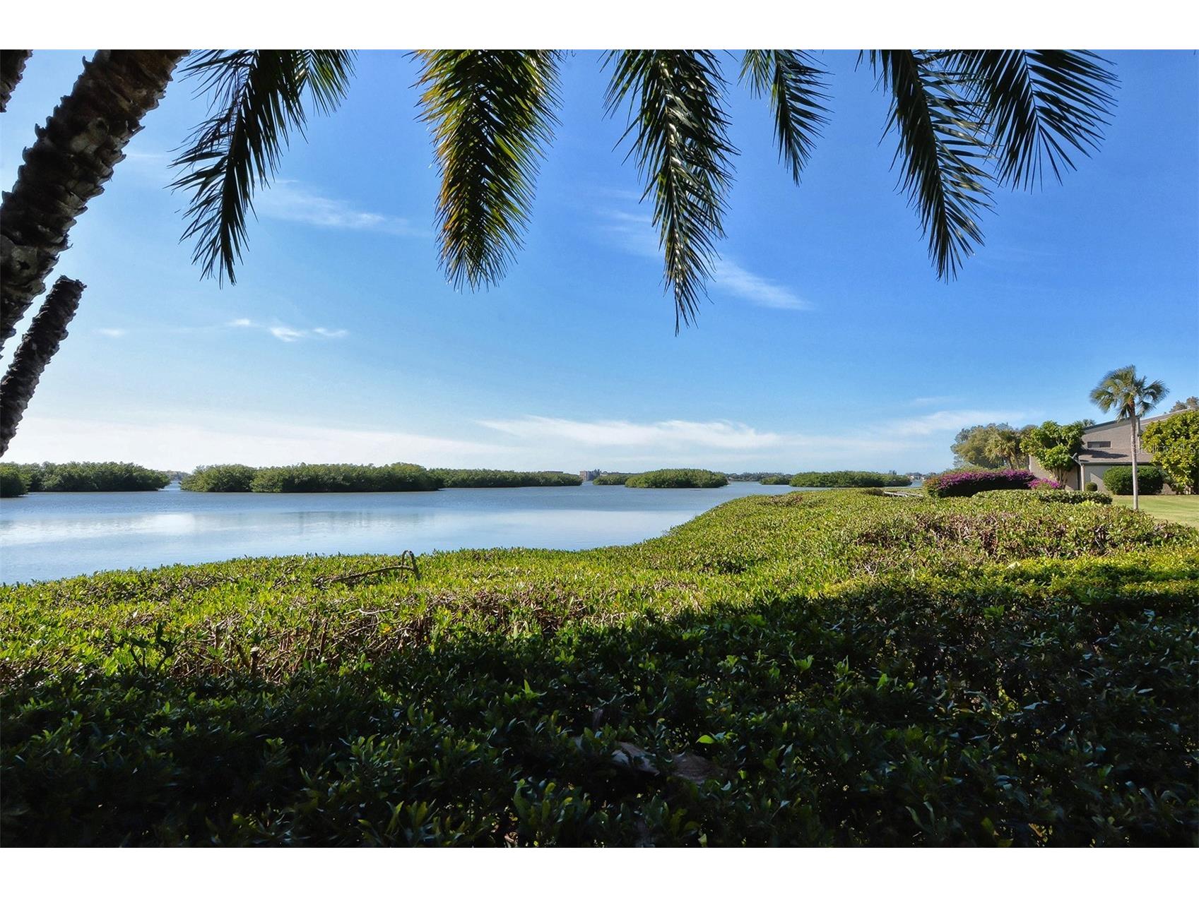 1518 Pelican Point Drive #BA156 Sarasota FL 34231 A4678486 image21