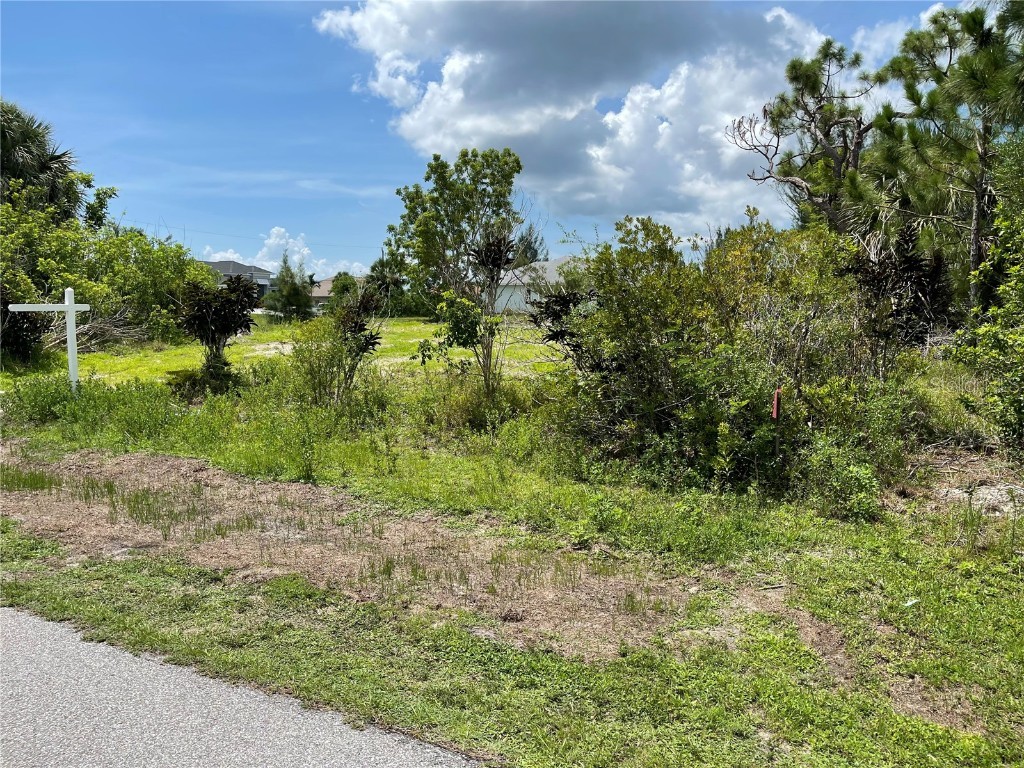 15181 Lyneburg Avenue Port Charlotte FL 33981 N6139549 image1