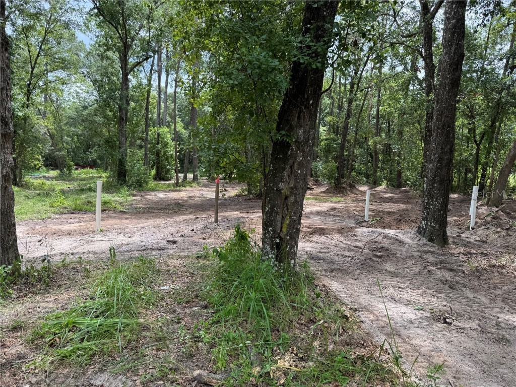 15183 NE 143rd Terrace Waldo FL 32694 GC533650 image3