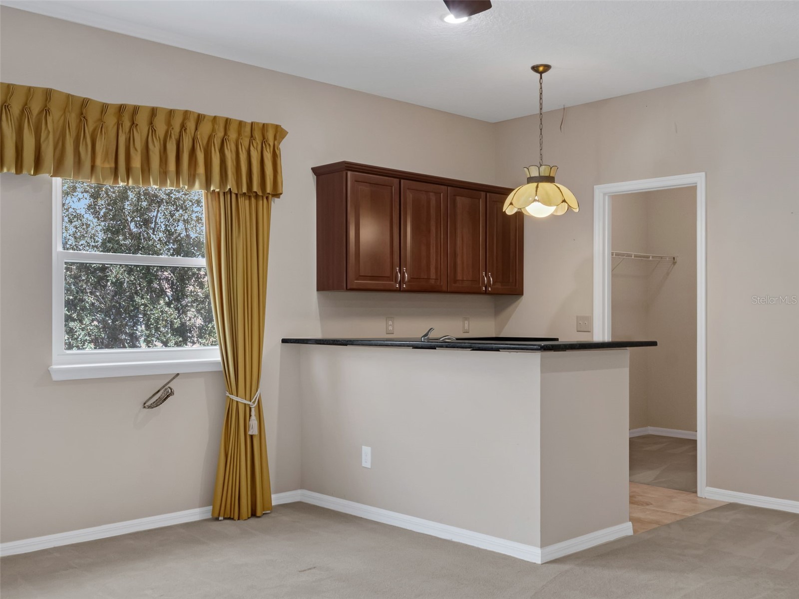 15183 Serenade Drive Winter Garden FL 34787 O6398436 image21