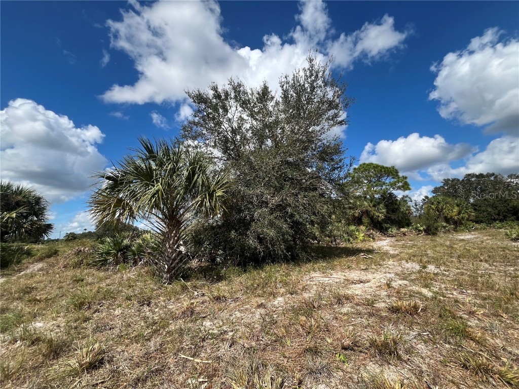 15187 NW 278th Street Okeechobee FL 34972 OK225211 image10