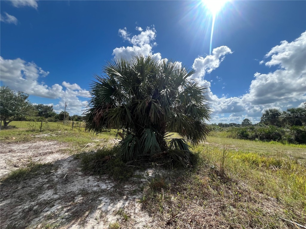 15187 NW 278th Street Okeechobee FL 34972 OK225211 image13