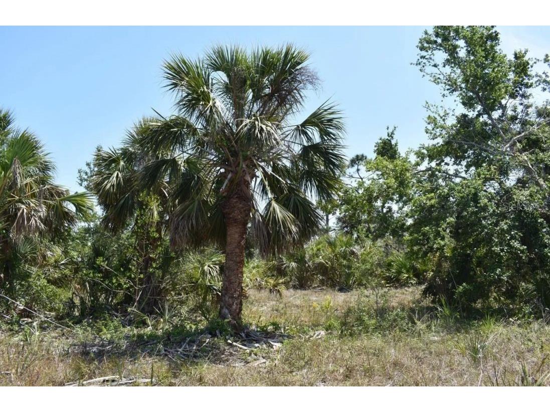 15189 Amsterdam Avenue Port Charlotte FL 33981 O6141393 image1