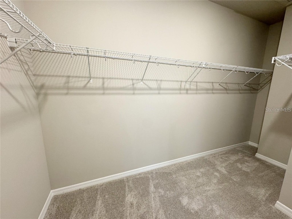 15189 Summer Harvest Street Winter Garden FL 34787 O6361543 image22