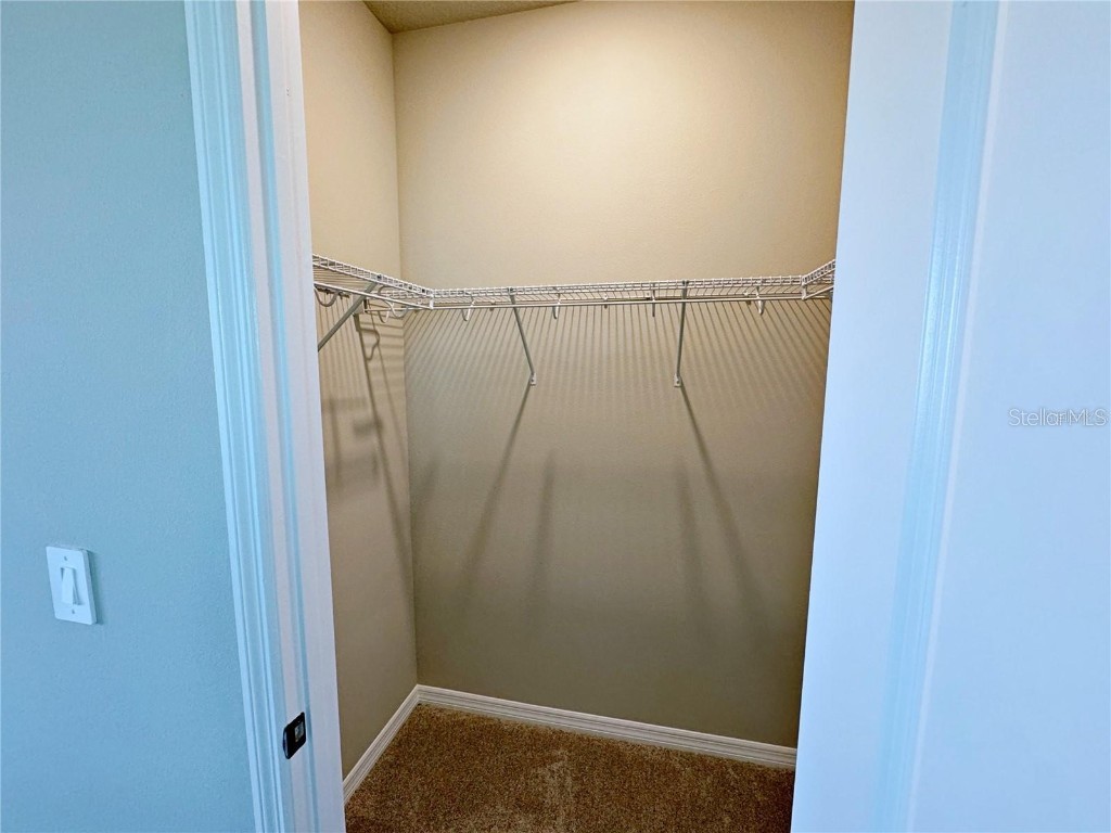 15189 Summer Harvest Street Winter Garden FL 34787 O6361543 image30