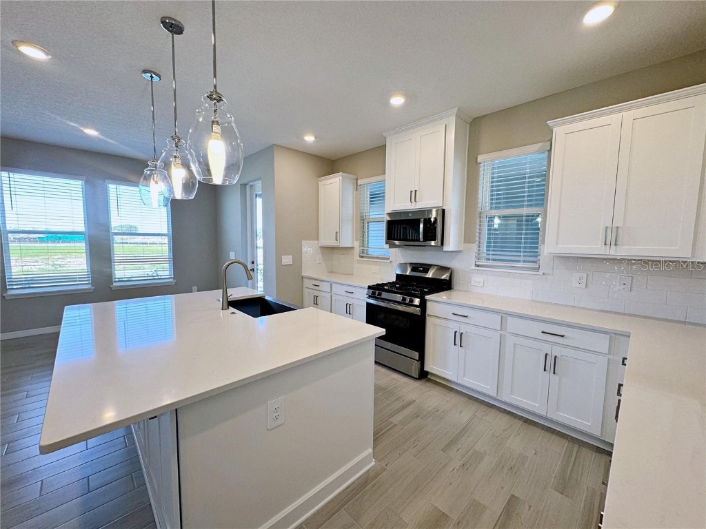 15189 Summer Harvest Street Winter Garden FL 34787 O6361543 image9