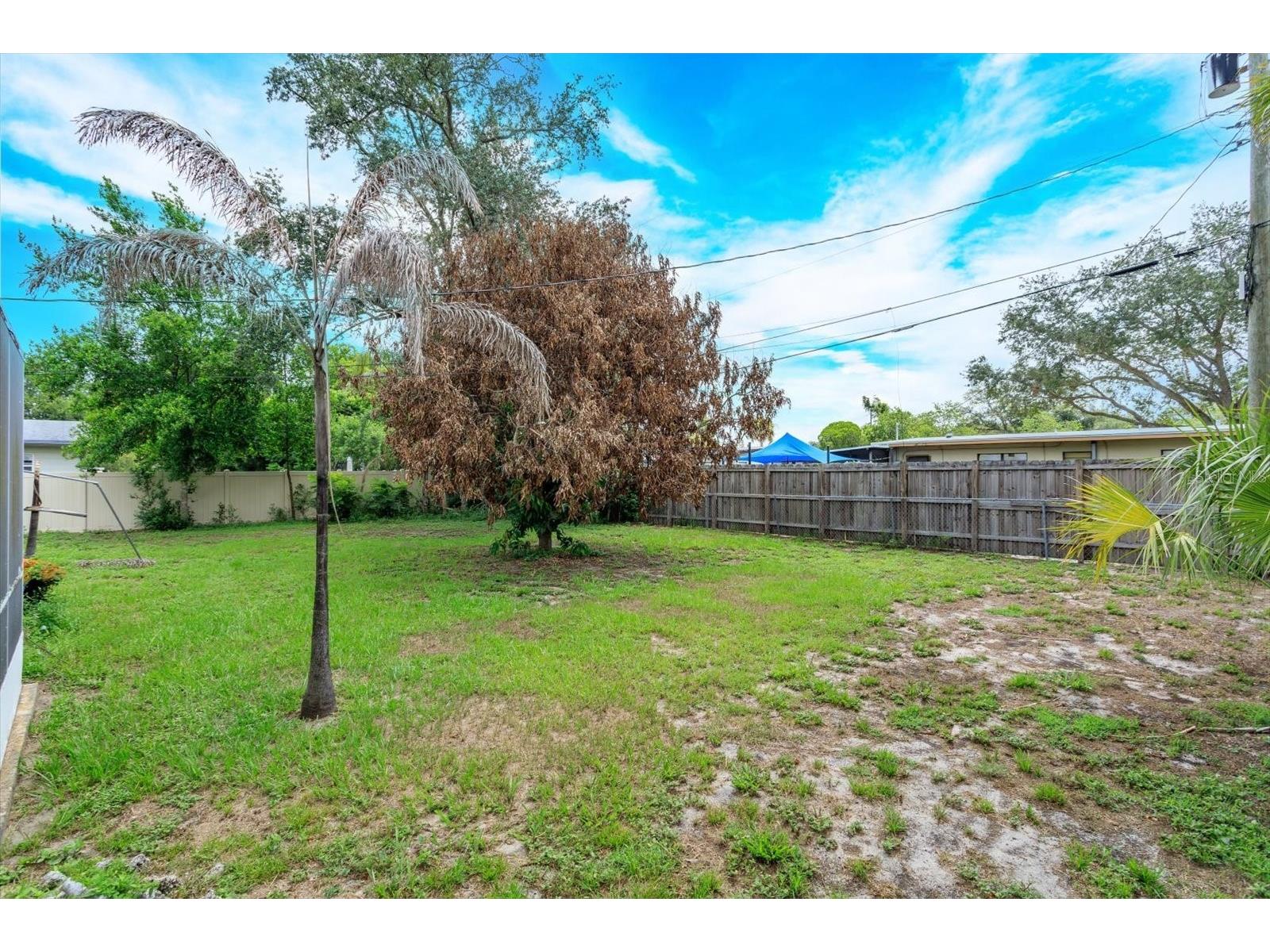 1519 Catalpa Lane Orlando FL 32806 O6422158 image20