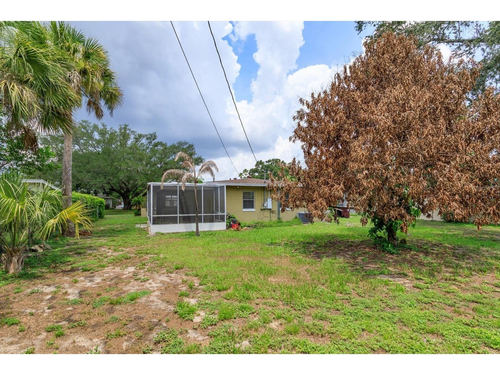 1519 Catalpa Lane Orlando FL 32806 O6422158 image21