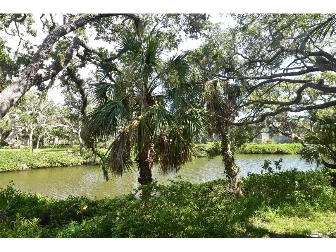 1519 Clower Creek Drive #HA151 Sarasota FL 34231 A4660564 image9