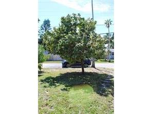 1519 Delaware Avenue NE Saint Petersburg FL 33703 TB8514390 image14