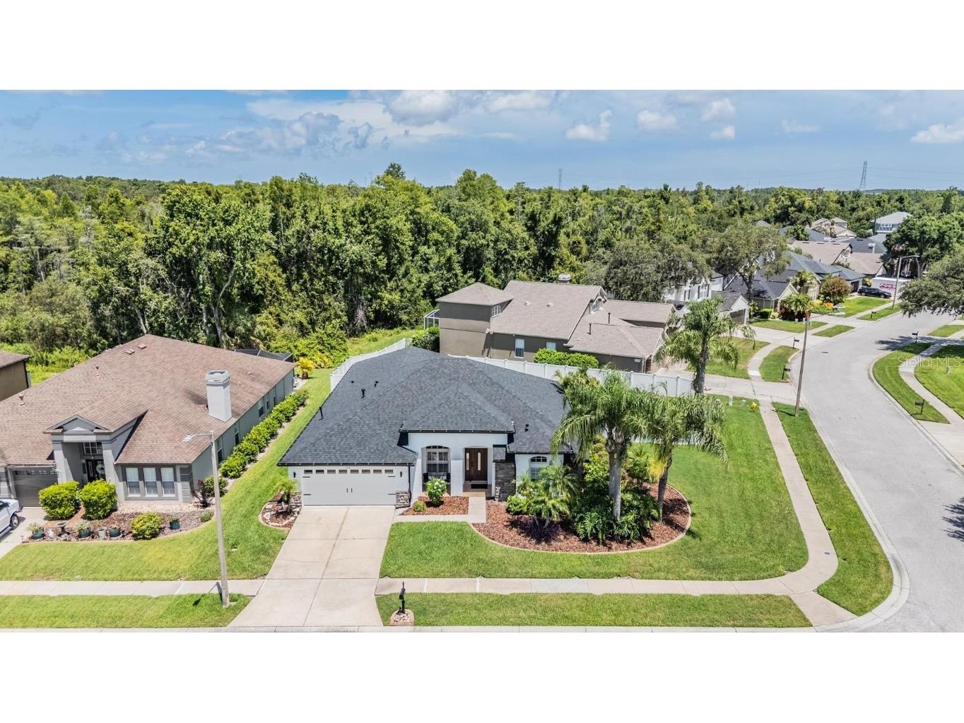 1519 Flatwood Court Trinity FL 34655 TB8410452 image4