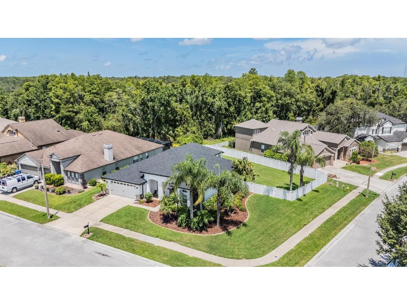 1519 Flatwood Court Trinity FL 34655 TB8410452 image5