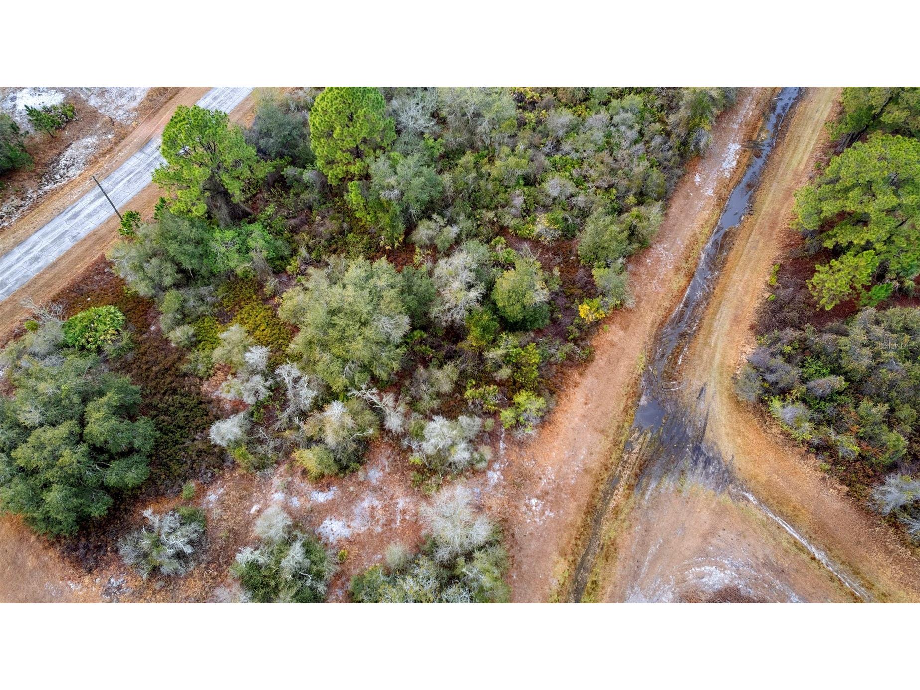 1519 Mediterranean Drive Poinciana FL 34759 S5148711 image17