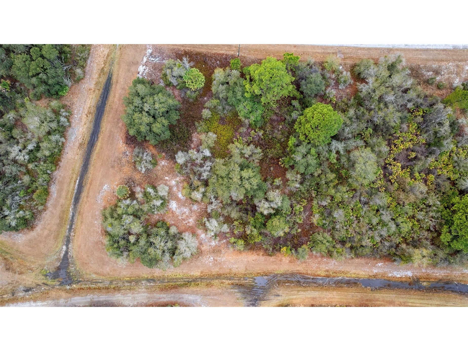 1519 Mediterranean Drive Poinciana FL 34759 S5148711 image19