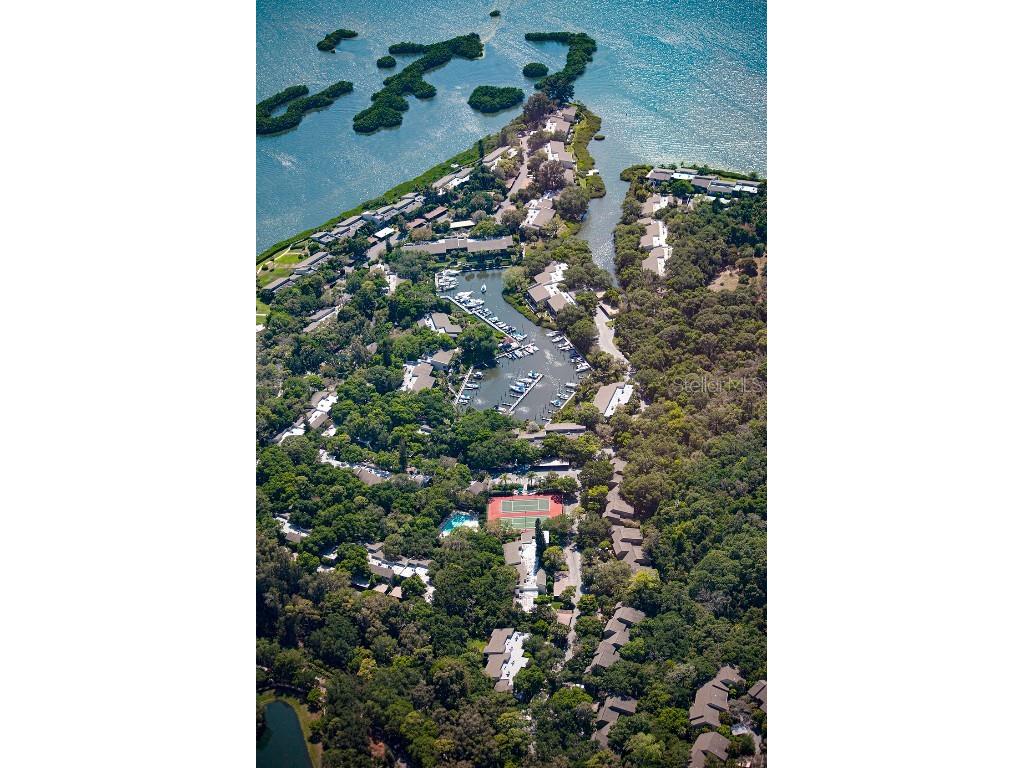 1519 Pelican Point Drive #288 Sarasota FL 34231 - SARASOTA BAY A4675959 image37