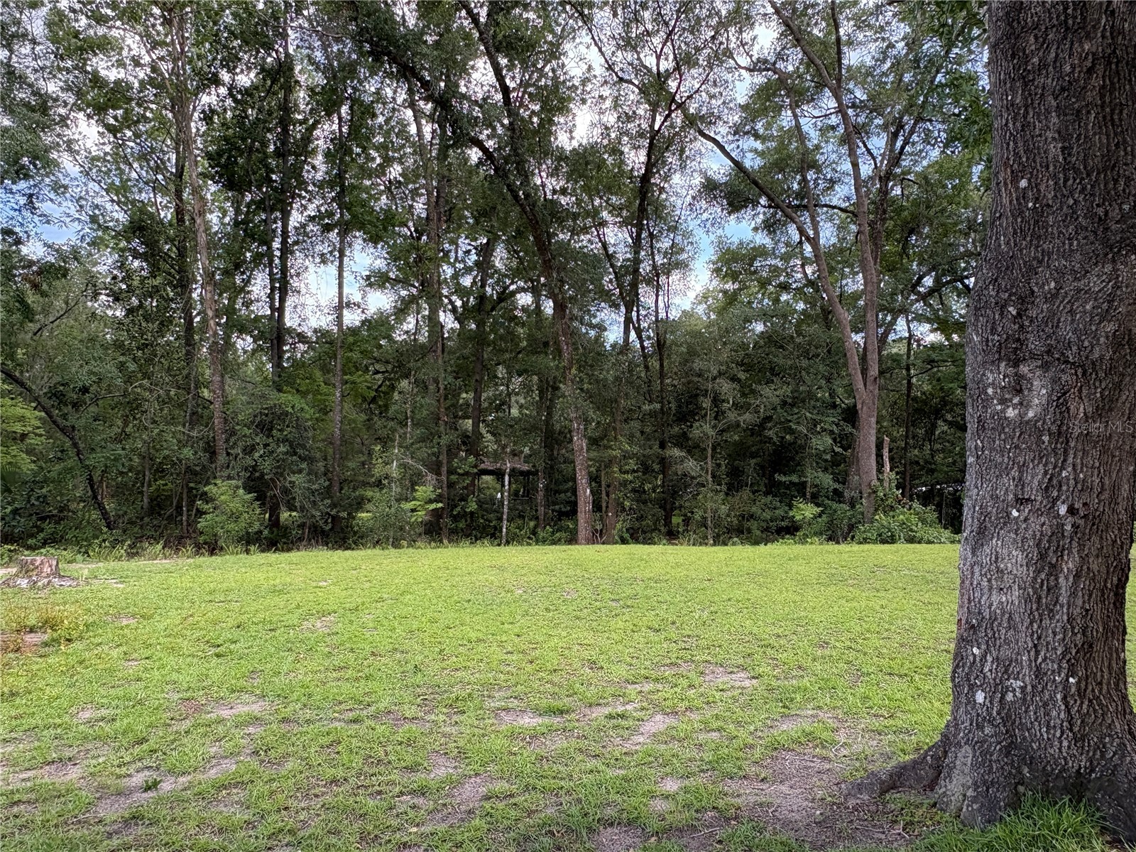 15190 NE 144th Street Fort Mc Coy FL 32134 OM726908 image8