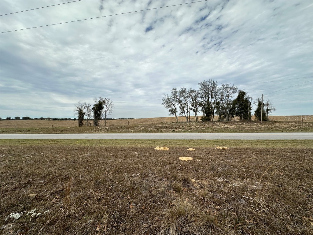 15190 NE 20th Street Williston FL 32696 OM672799 image1