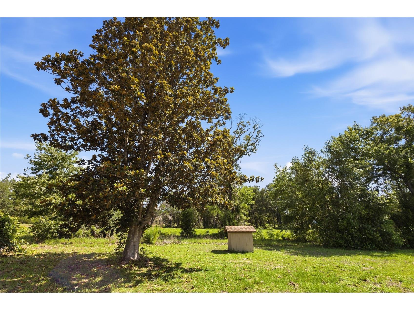 15191 NE 9th Street Williston FL 32696 OM725676 image45