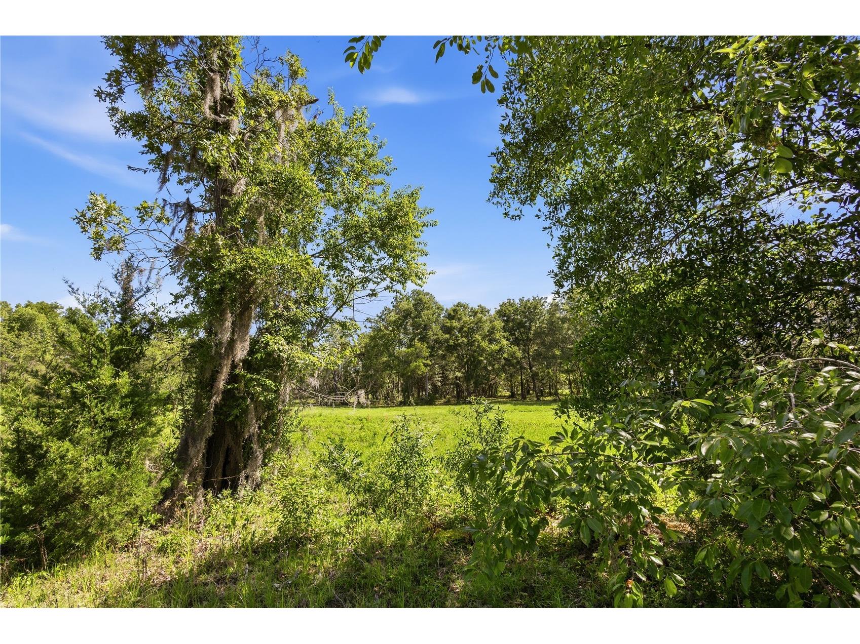 15191 NE 9th Street Williston FL 32696 OM725676 image48