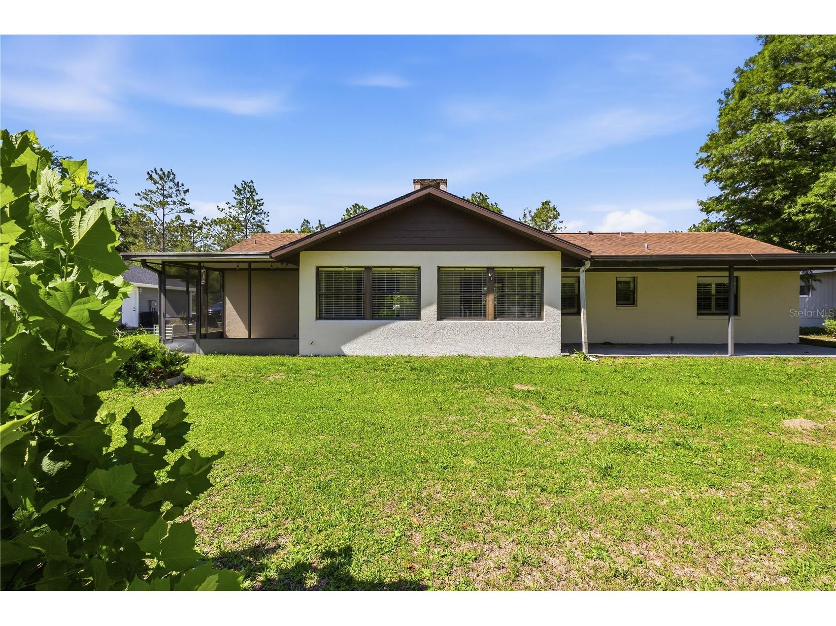 15191 NE 9th Street Williston FL 32696 OM725676 image49