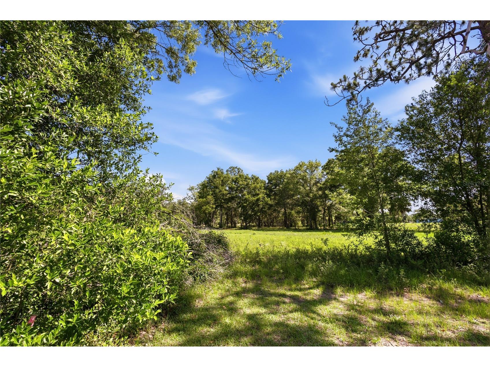 15191 NE 9th Street Williston FL 32696 OM725676 image51