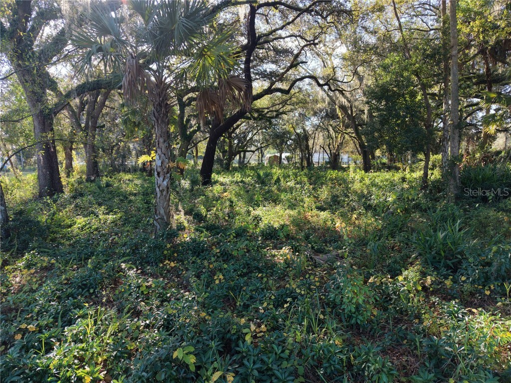 15192 E Colonial Dr Orlando FL 32826 O6366224 image6