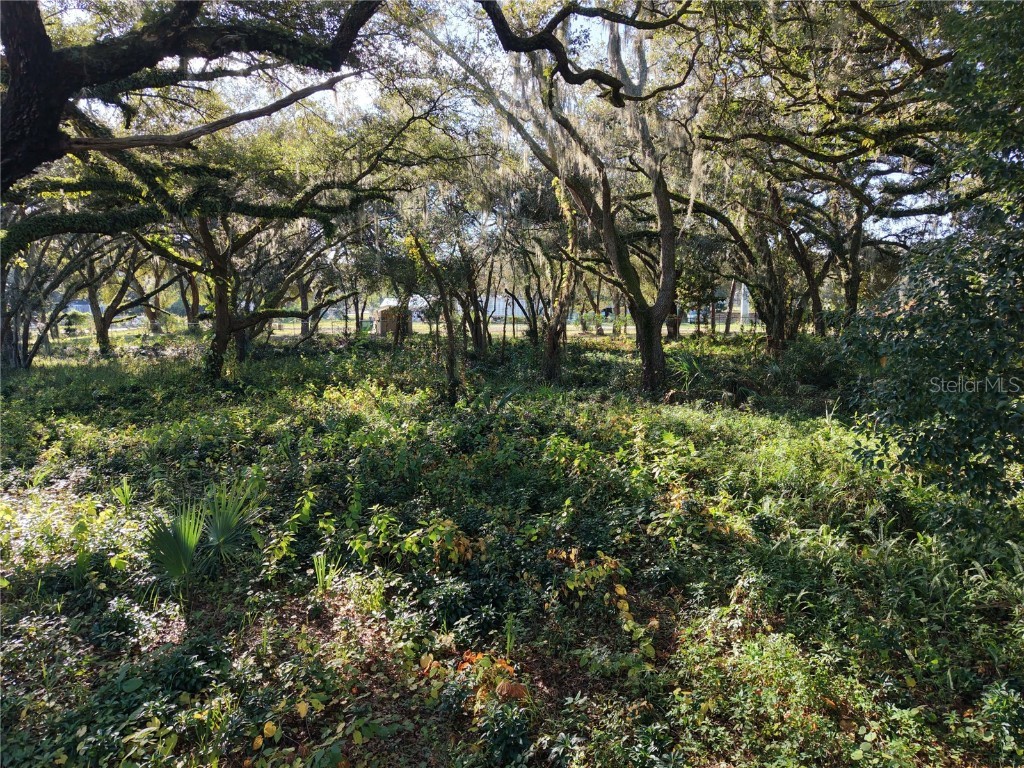 15192 E Colonial Dr Orlando FL 32826 O6366224 image7