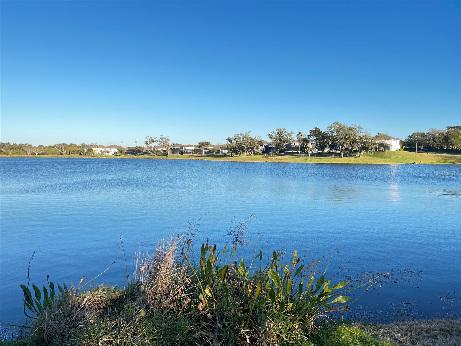 15195 Lake Claire Overlook Drive Winter Garden FL 34787 - LAKE CLAIRE O6389732 image54