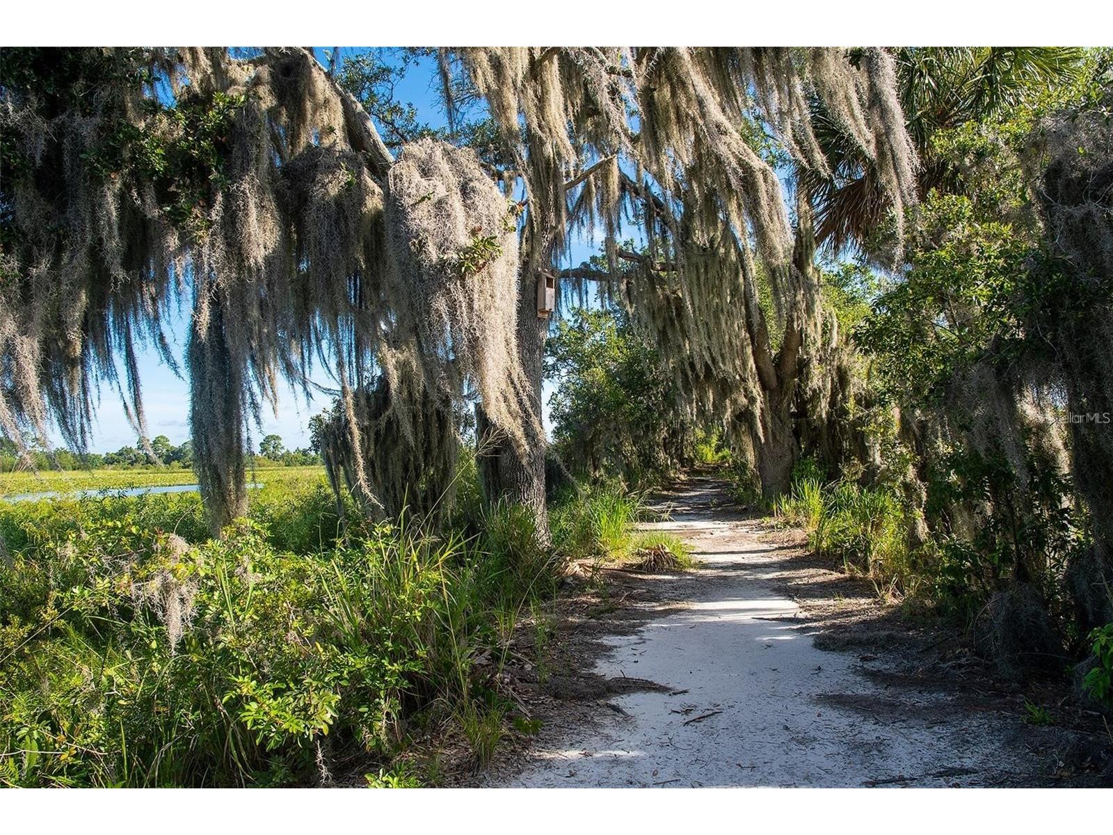 15195 Lake Claire Overlook Drive Winter Garden FL 34787 - LAKE CLAIRE O6389732 image65