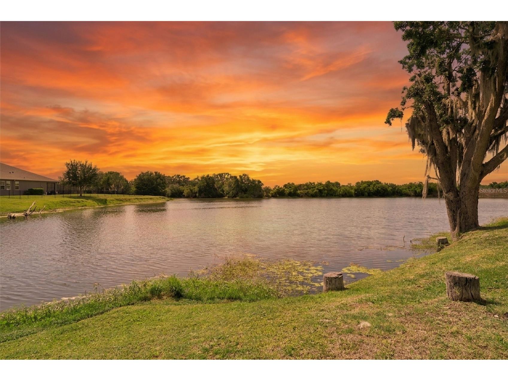 15196 Lake Claire Overlook Drive Winter Garden FL 34787 - LAKE BURNETT O6397637 image2