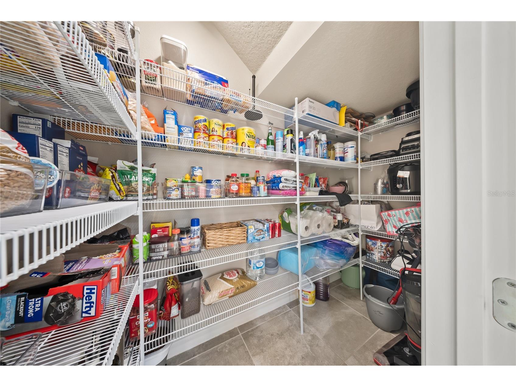 15196 Newtonia Street Winter Garden FL 34787 O6387201 image21