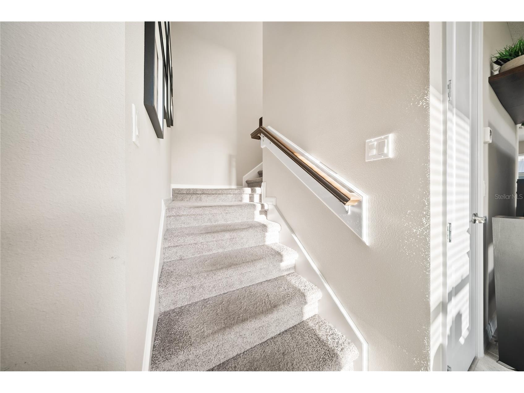 15196 Newtonia Street Winter Garden FL 34787 O6387201 image22