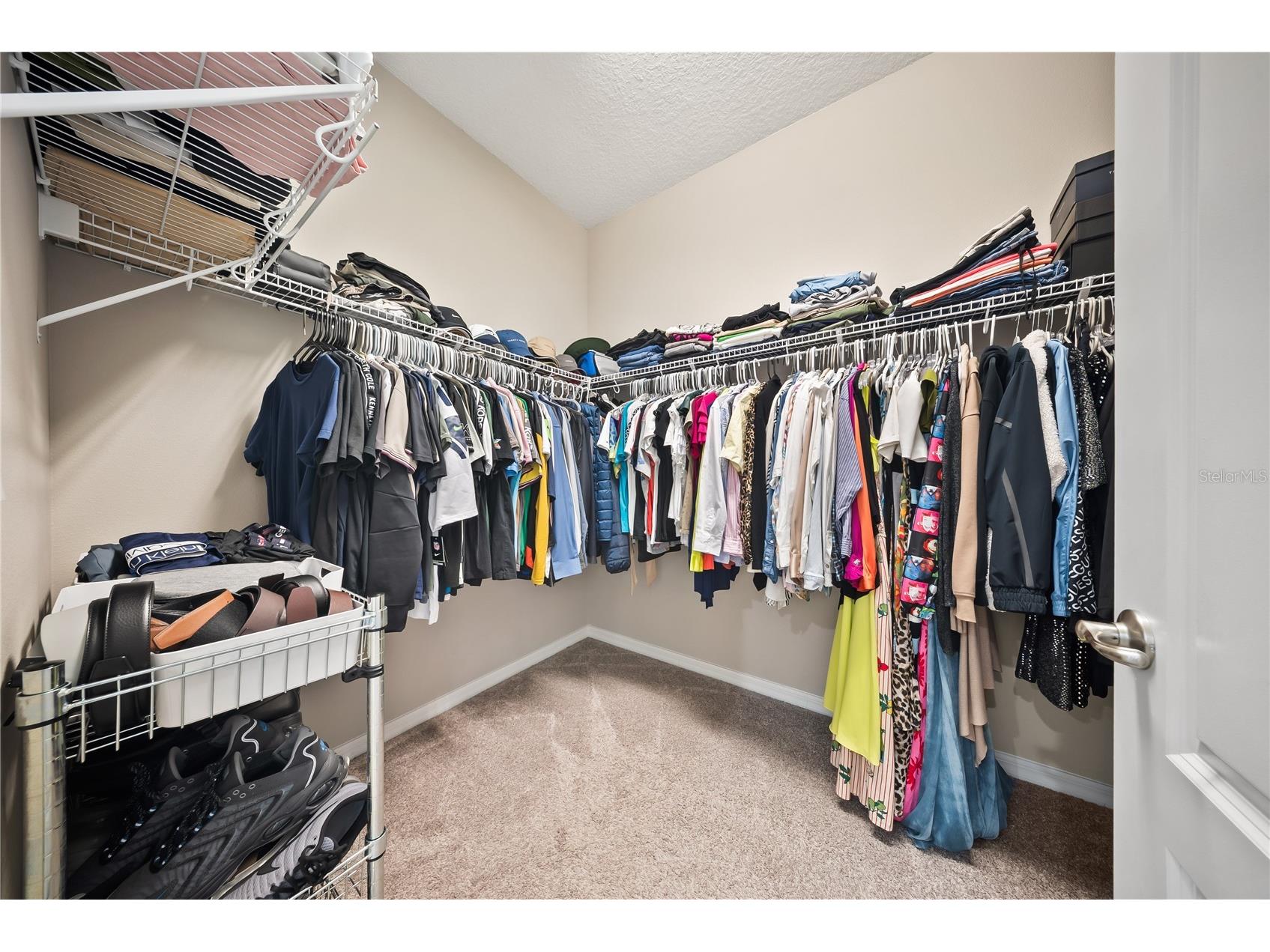 15196 Newtonia Street Winter Garden FL 34787 O6387201 image29