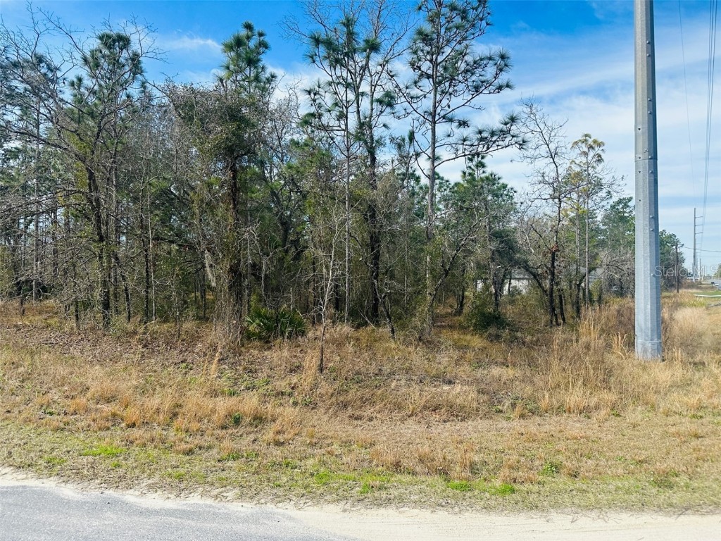 15197 Duck Hawk Road Weeki Wachee FL 34614 W7852318 image1