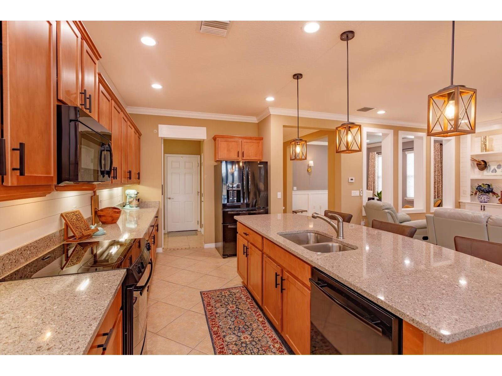 152 Balmy Coast Road Groveland FL 34736 G5107887 image13