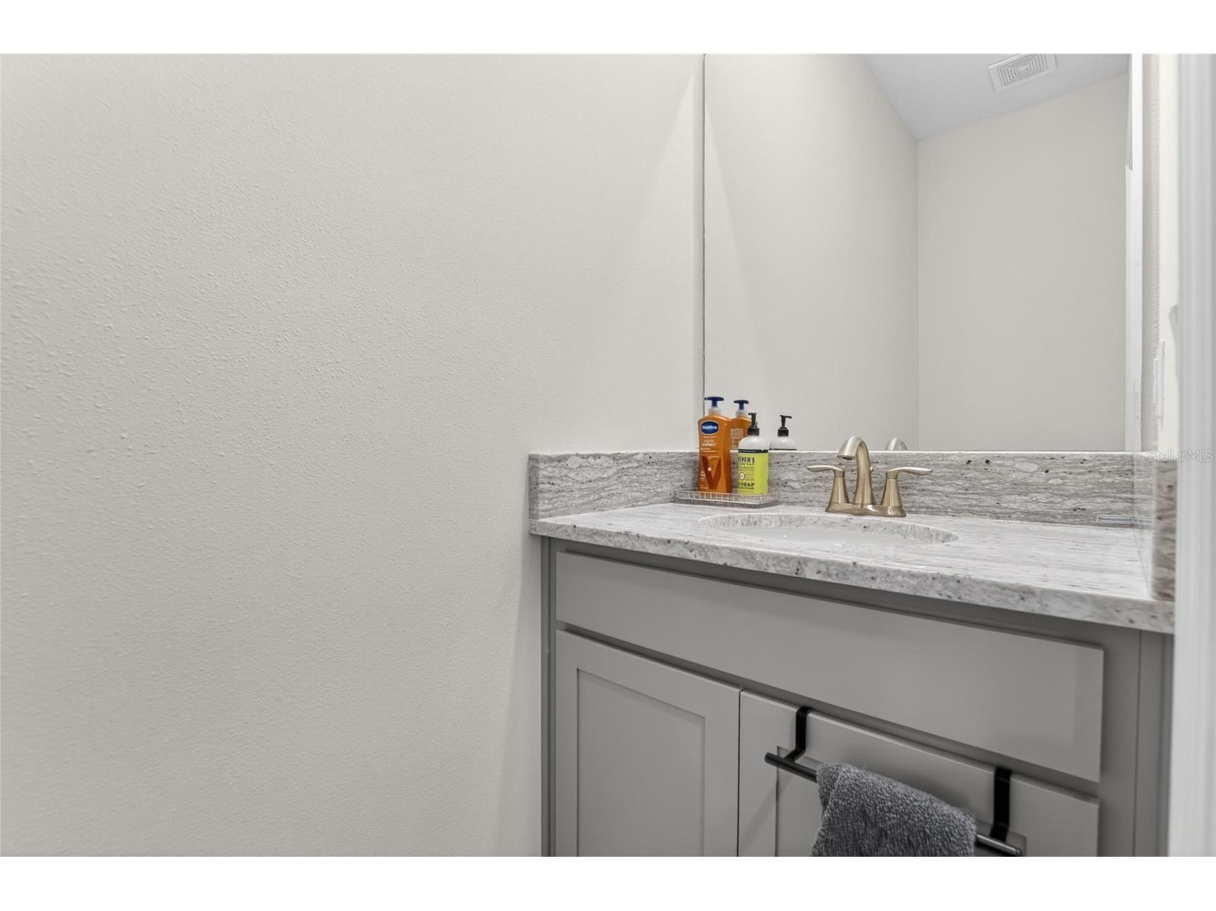 152 Bright Ibis Avenue Apollo Beach FL 33572 TB8506180 image11