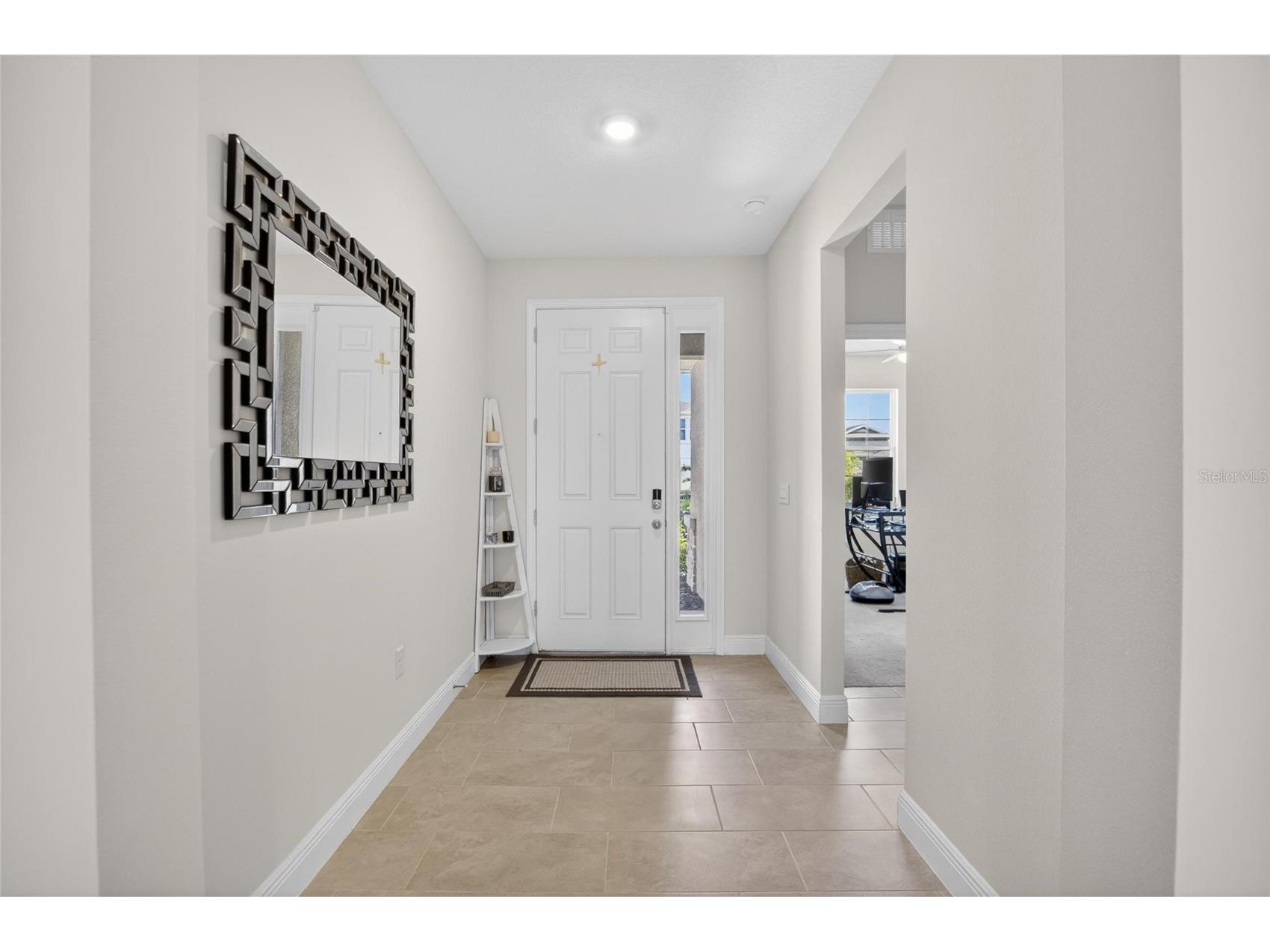 152 Bright Ibis Avenue Apollo Beach FL 33572 TB8506180 image16