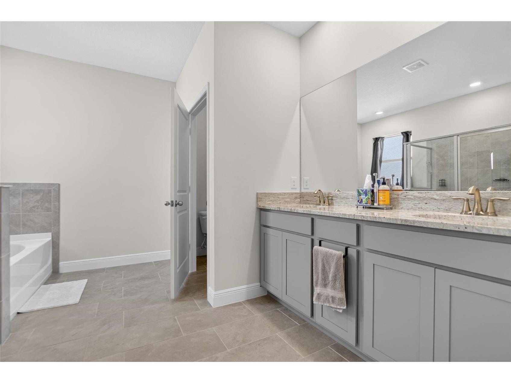 152 Bright Ibis Avenue Apollo Beach FL 33572 TB8506180 image21