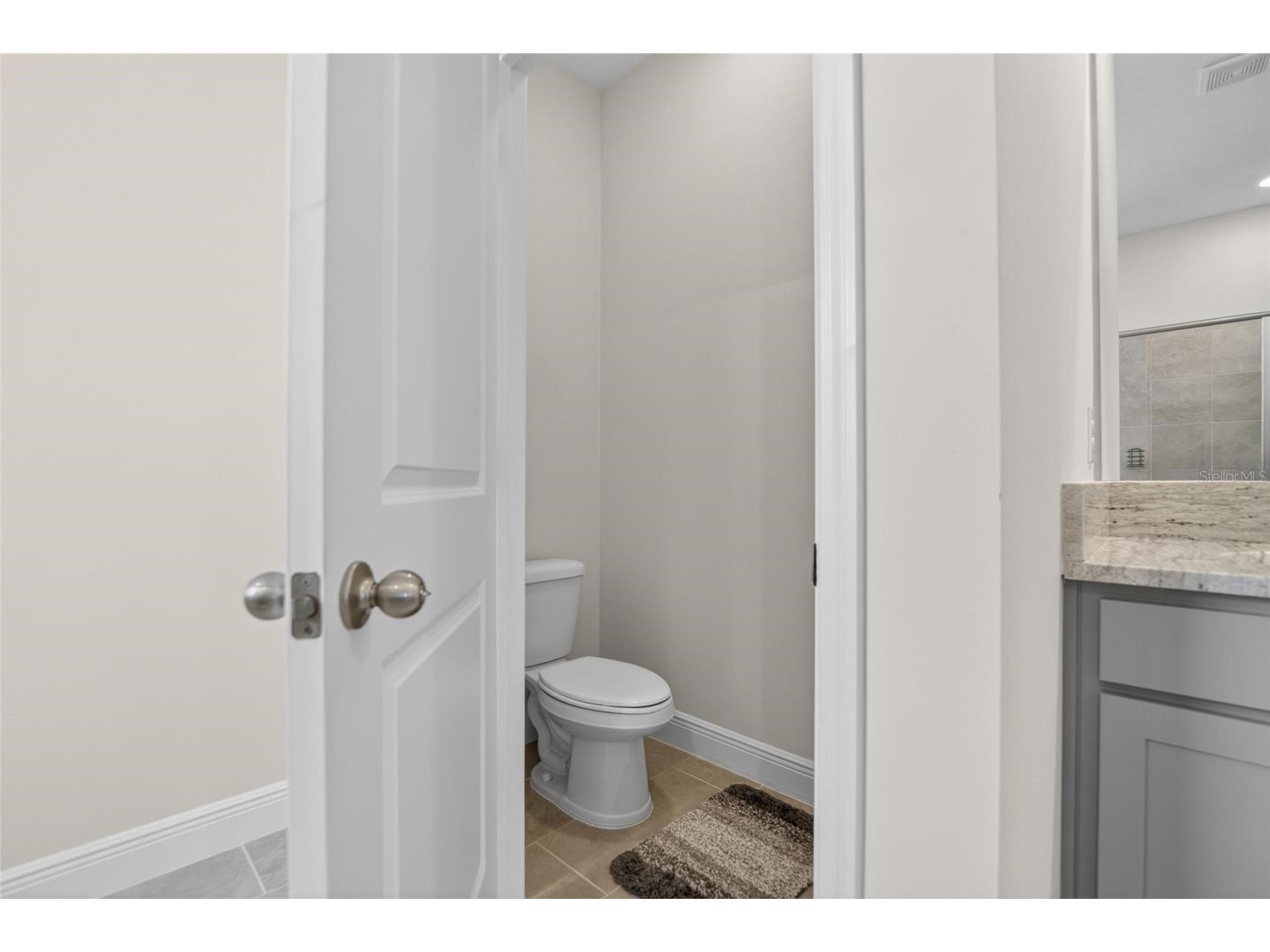 152 Bright Ibis Avenue Apollo Beach FL 33572 TB8506180 image22