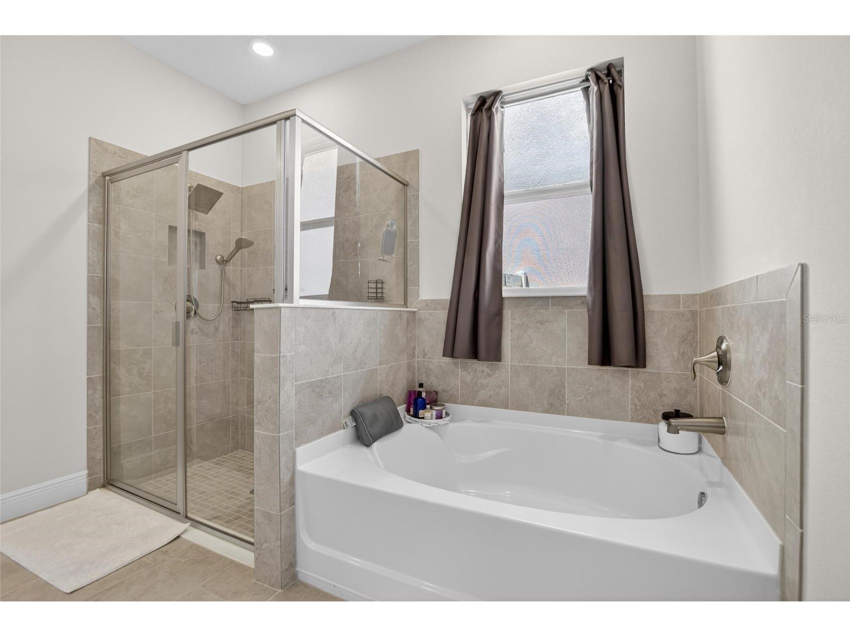 152 Bright Ibis Avenue Apollo Beach FL 33572 TB8506180 image24