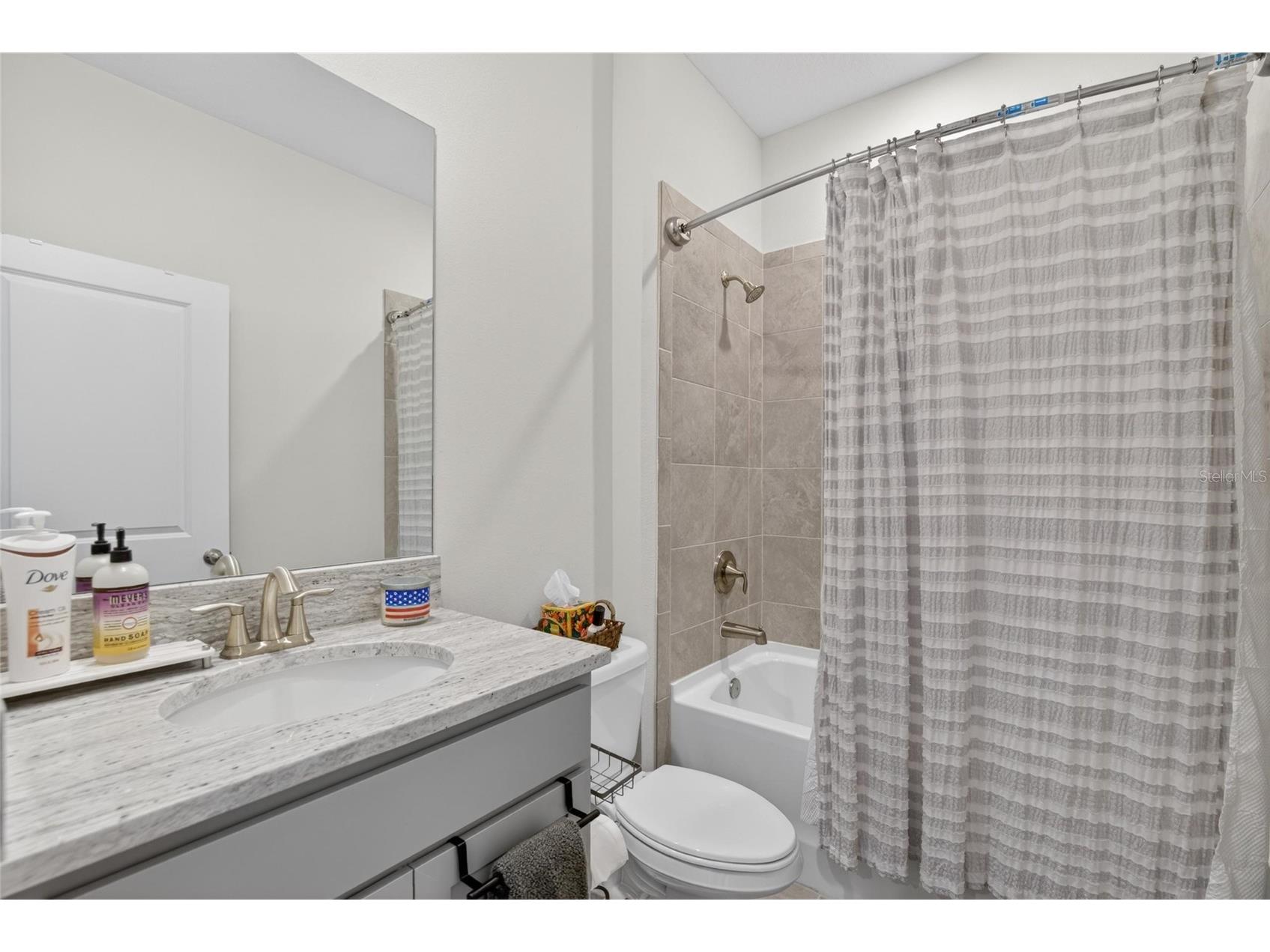 152 Bright Ibis Avenue Apollo Beach FL 33572 TB8506180 image5