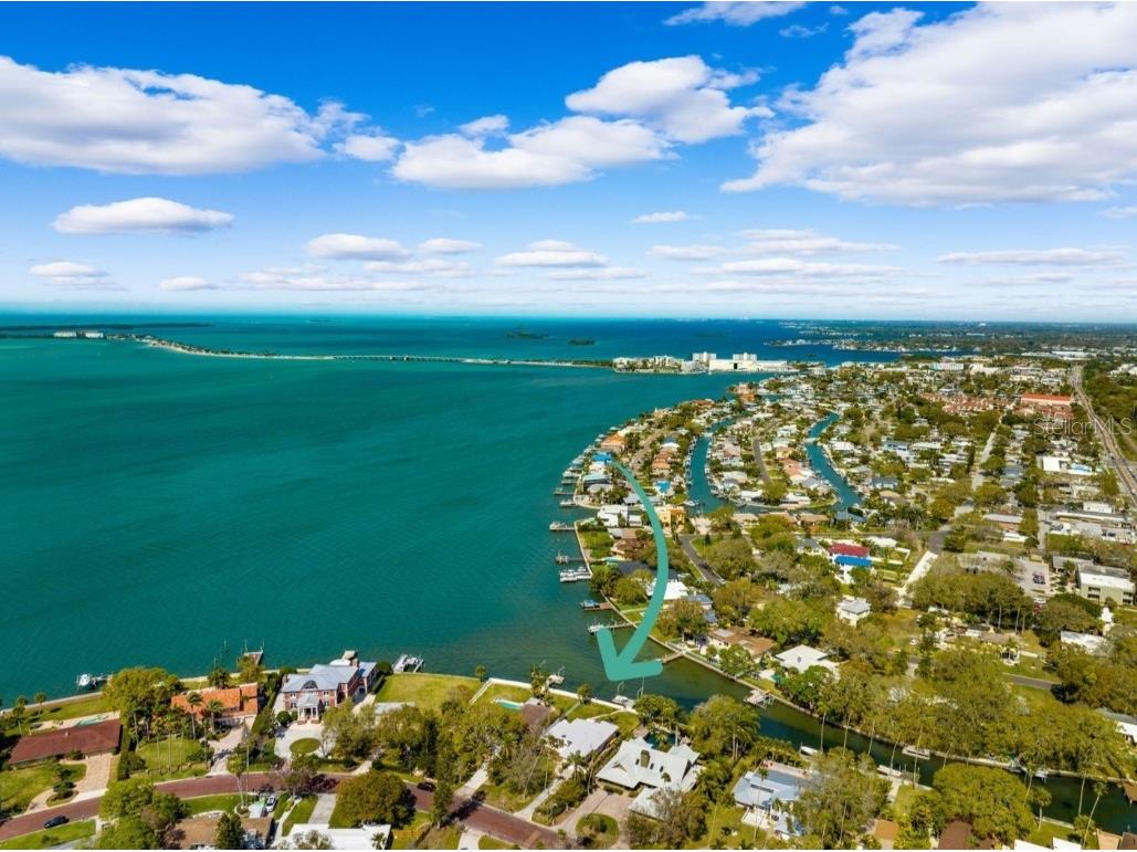 152 Buena Vista Drive N Dunedin FL 34698 U8231075 image1