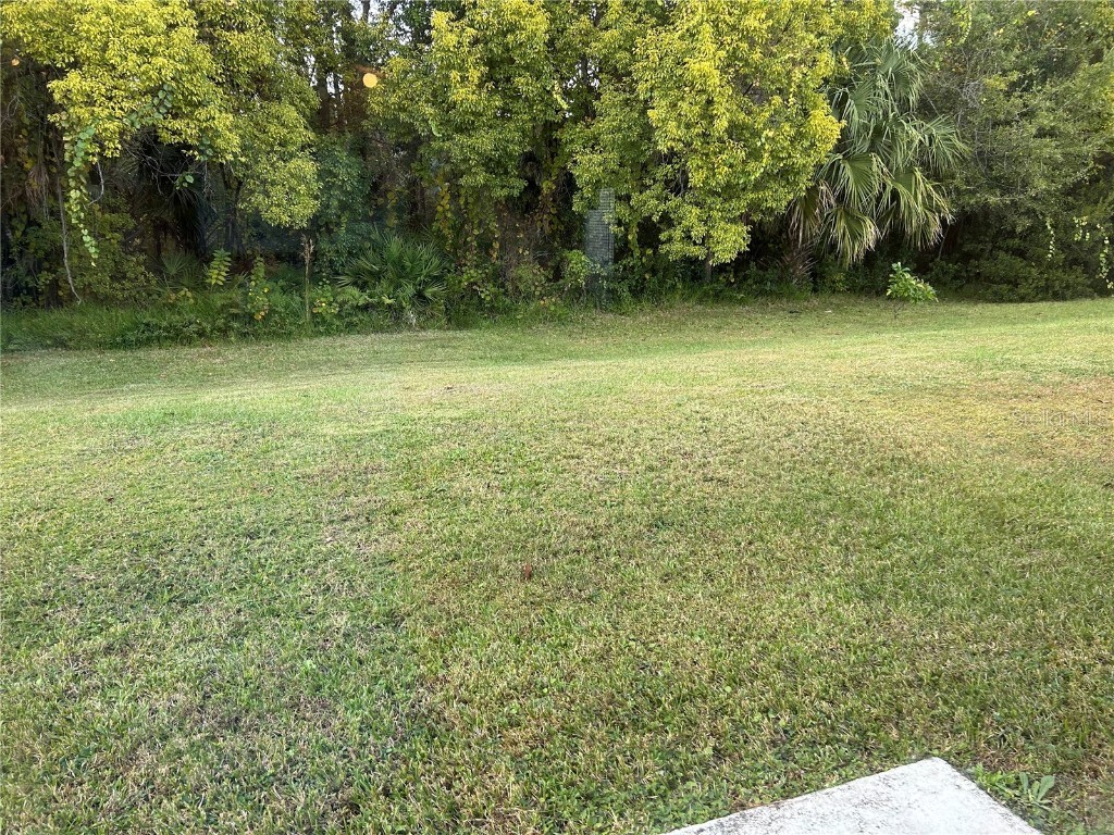 152 Gleason Cove Sanford FL 32773 O6358717 image18