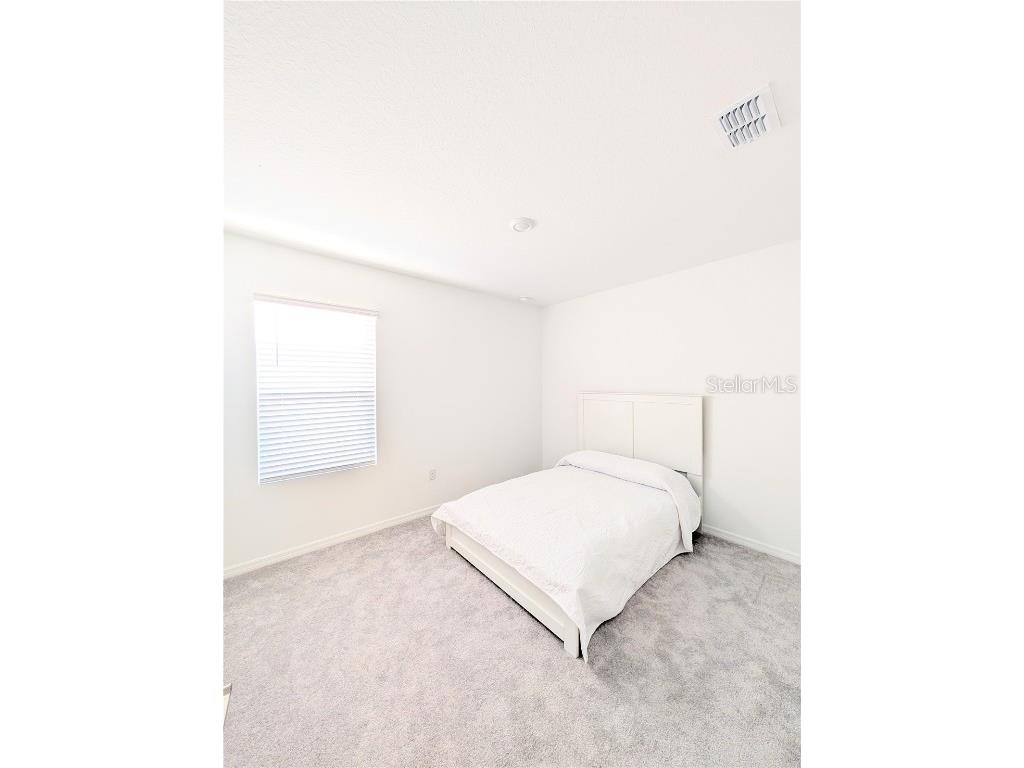 152 Jones Fish Camp Road Edgewater FL 32141 O6364804 image20