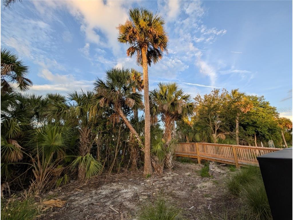 152 Jones Fish Camp Road Edgewater FL 32141 O6364804 image25