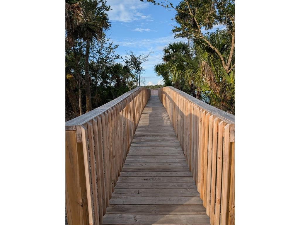 152 Jones Fish Camp Road Edgewater FL 32141 O6364804 image26