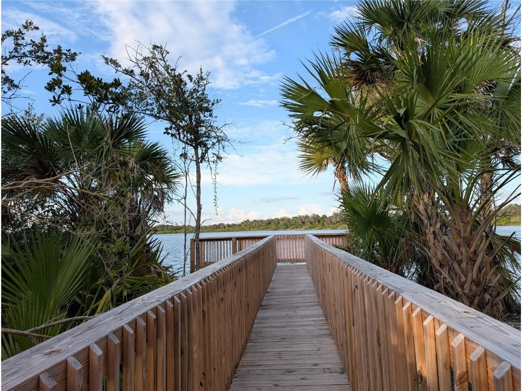 152 Jones Fish Camp Road Edgewater FL 32141 O6364804 image27