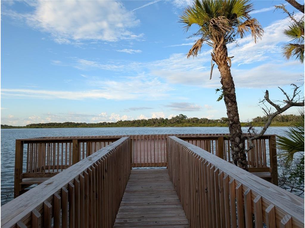 152 Jones Fish Camp Road Edgewater FL 32141 O6364804 image28